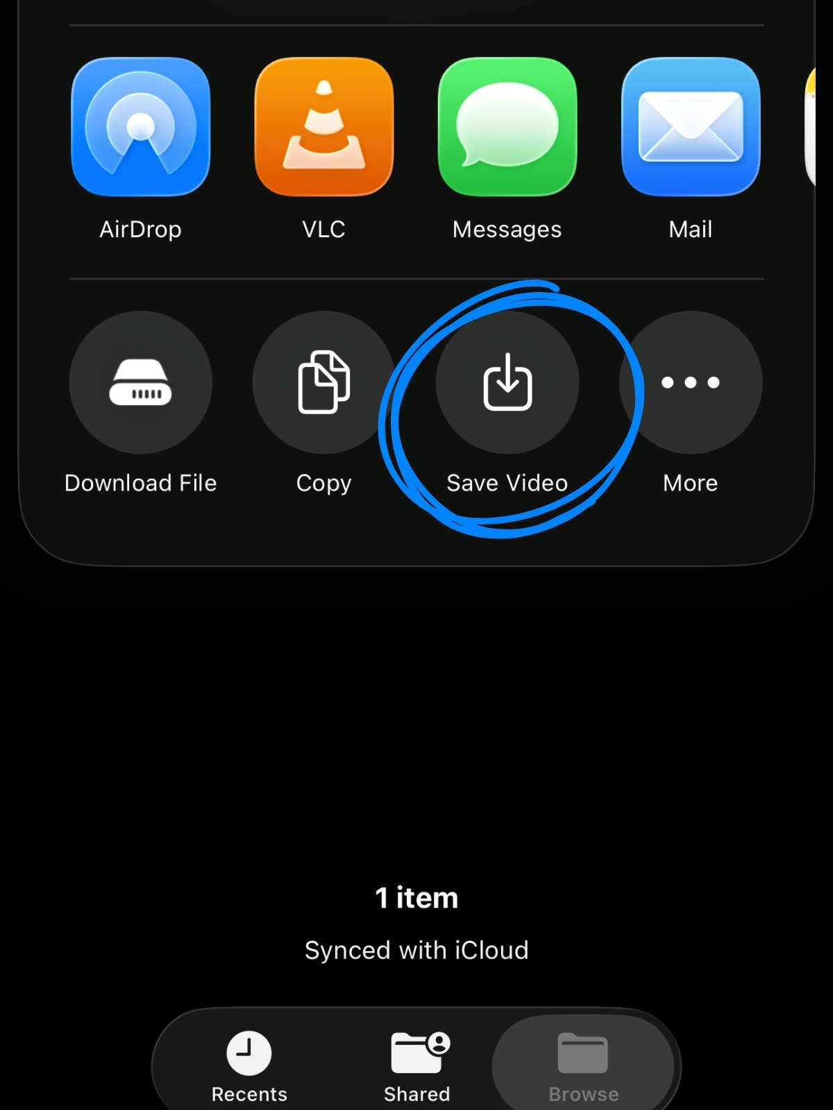 iPhone Files app showing downloaded Bluesky video with save to photos option
